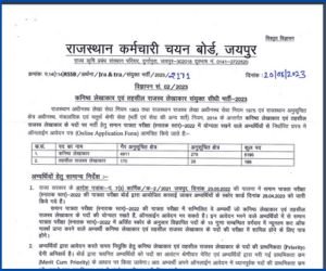 RSMSSB Junior And Tehsil Revenue Accountant Bharti 2023 Notification Released For 5388 Posts 2 Download RSMSSB Junior And Tehsil Revenue Accountant Bharti 2023 Official Notification